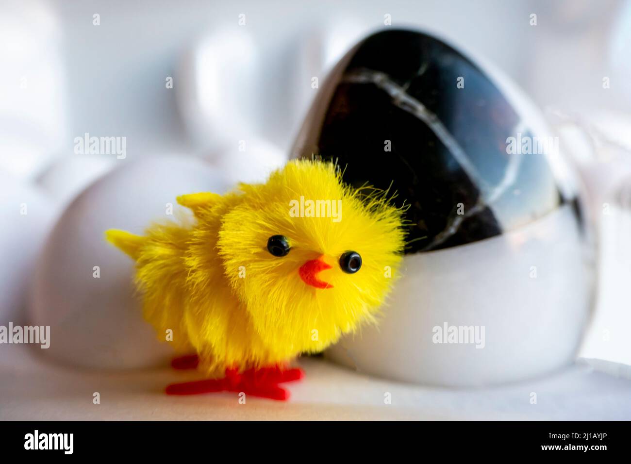 Les poussins de Pâques jouet avec une boîte d'oeufs Photo Stock - Alamy