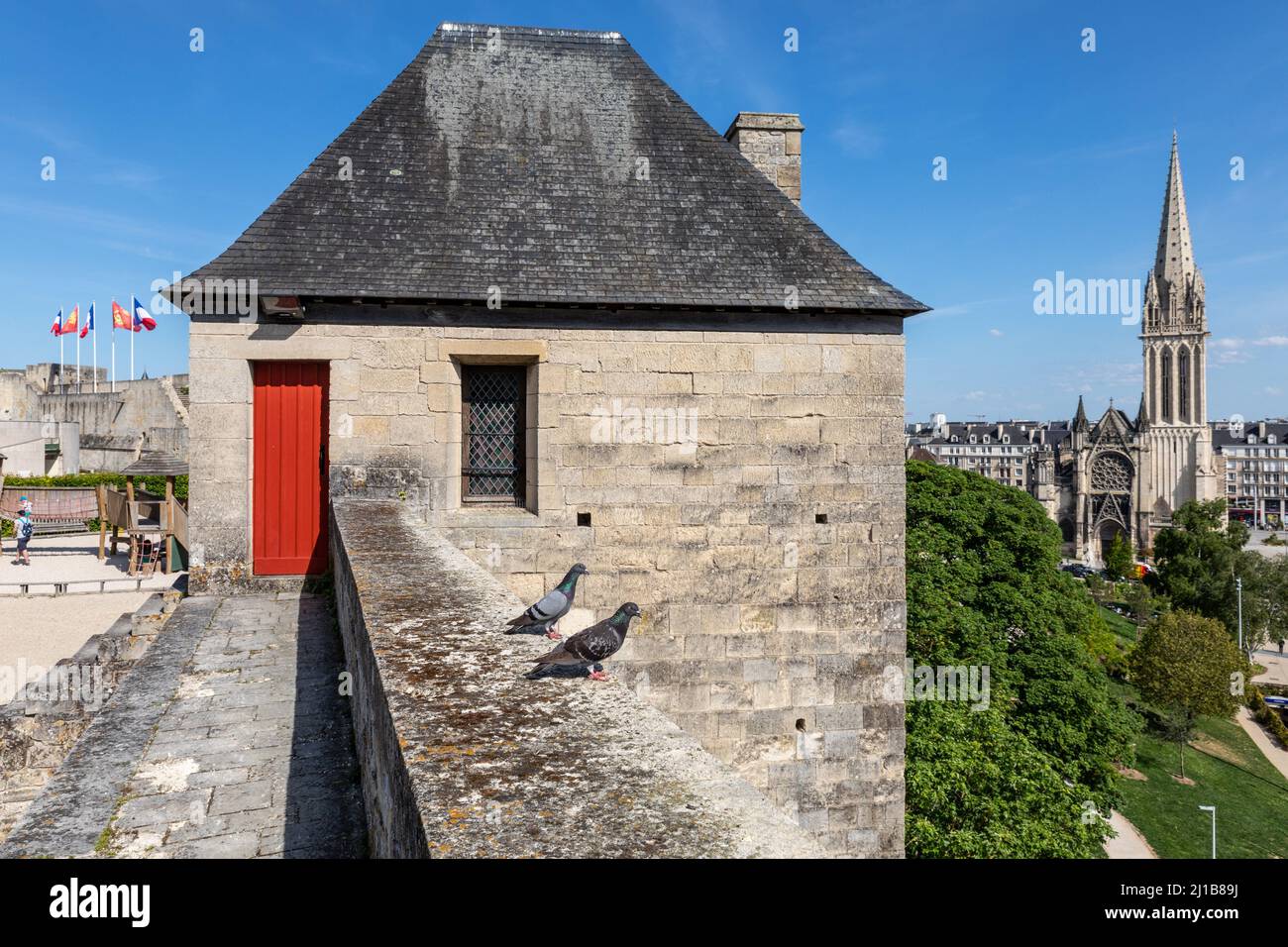 PIGEONS SUR LES REMPARTS DU CHÂTEAU DE CAEN CONSTRUITS VERS 1060 (11TH SIÈCLE) PAR GUILLAUME LE CONQUÉRANT, RÉSIDENCE DES DUCS DE NORMANDIE, NORMANDIE, FRANCE Banque D'Images