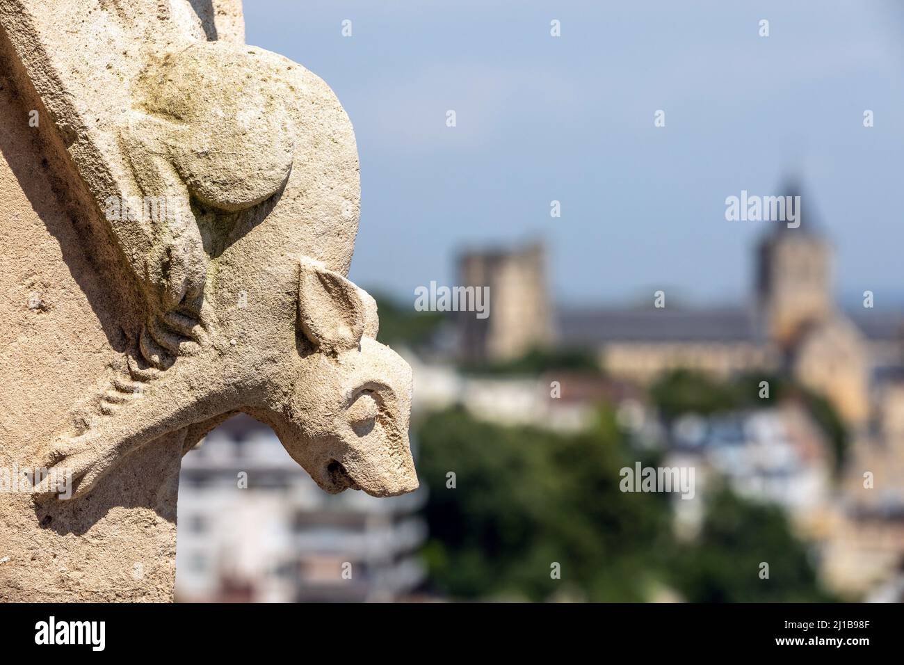 GARGOYLE, FAÇADE DE L'ÉGLISE SAINT-PIERRE, CAEN, CALVADOS, NORMANDIE, FRANCE Banque D'Images