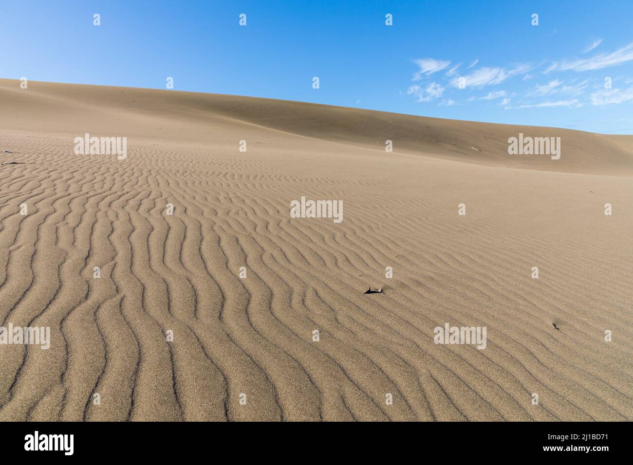 LES DUNES DE BANI, DUNAS DE BANI, PÉNINSULE DE LAS CALDERAS, RÉPUBLIQUE DOMINICAINE Banque D'Images