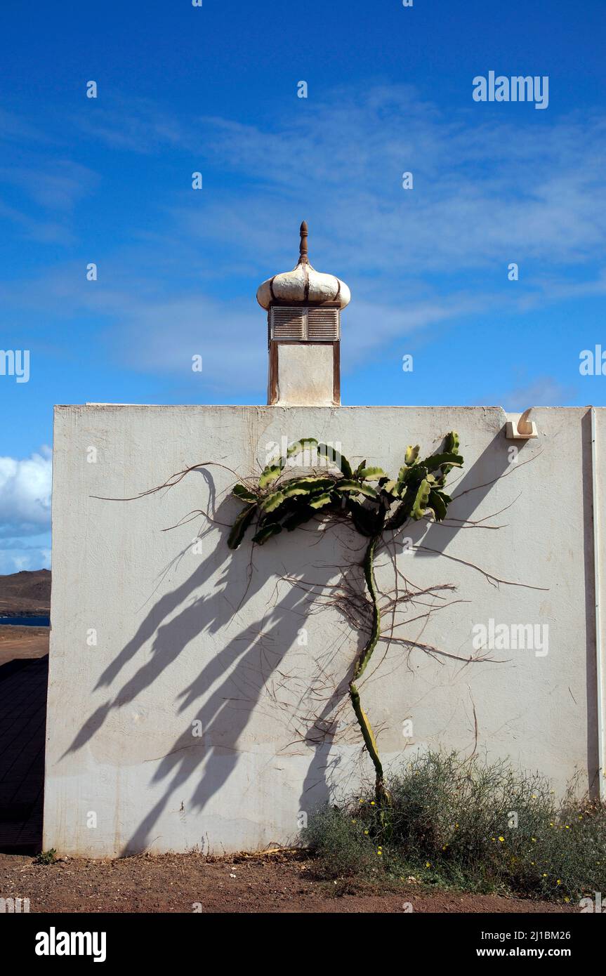 Plante intéressante sur le côté d'une maison près de Costa Teguise, Lanzarote avec des ombres Banque D'Images