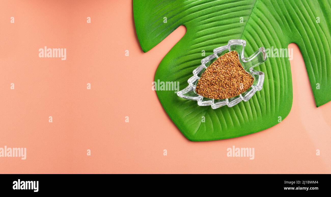 Medicago sativa - graines de luzerne biologique dans un bol Banque D'Images
