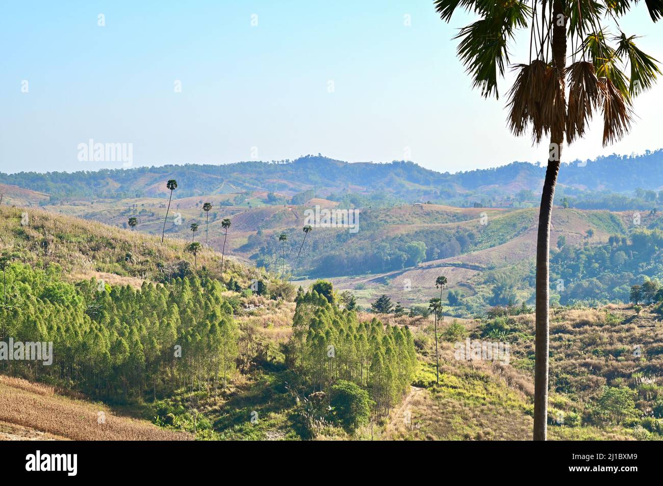 Vue depuis le point de vue de Wat Kong Niam dans la province de Phetchabun Banque D'Images