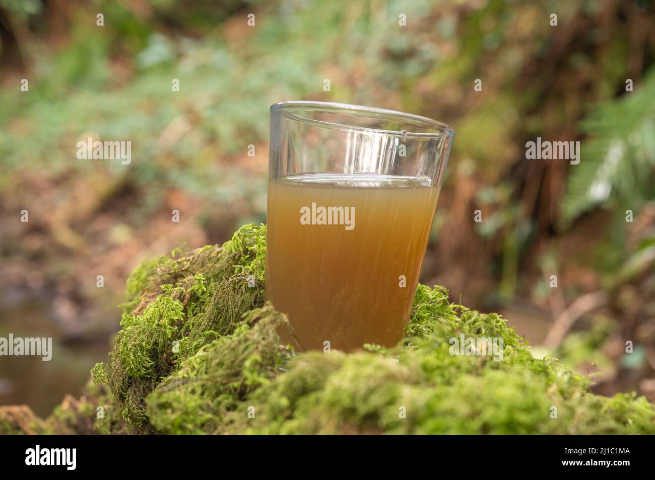 Échantillon d'eau de couleur brune provenant d'un ruisseau pollué provenant d'une ferme laitière Banque D'Images