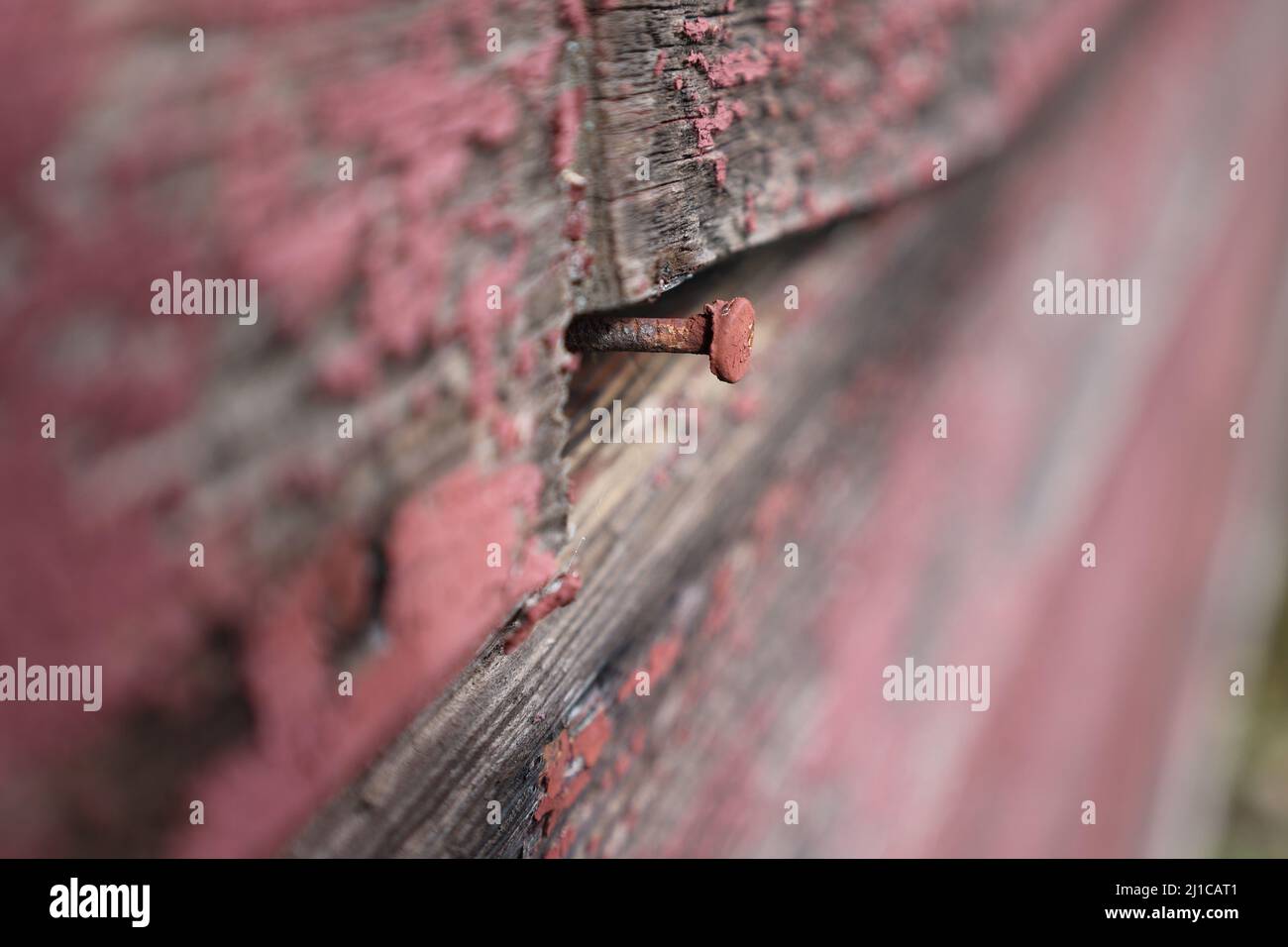 Vieux clou recouvert de peinture rouge, rouillé dans le bois en décomposition Banque D'Images