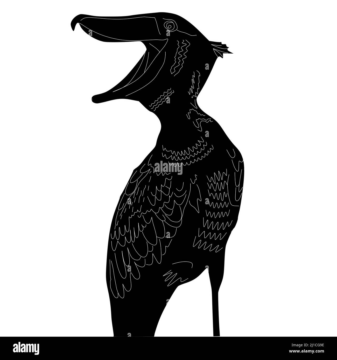 Le pélican africain ouvre son bec Banque D'Images