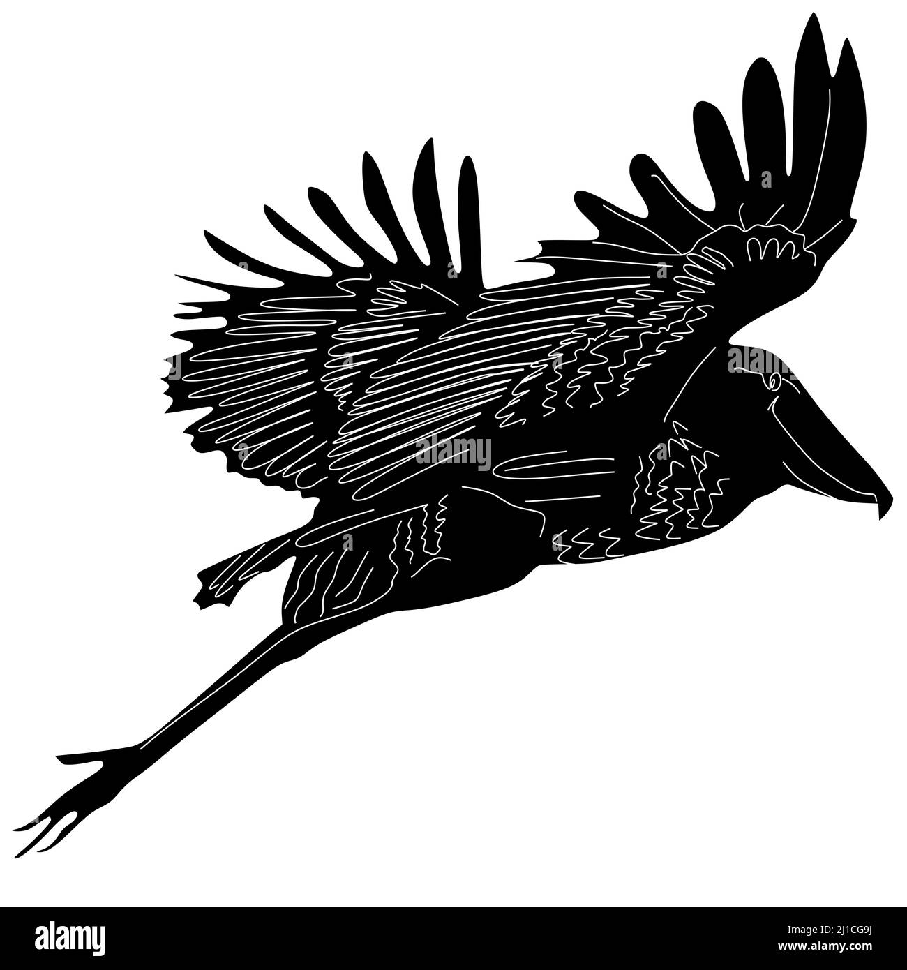 Le gros oiseau sauvage africain vole Banque D'Images