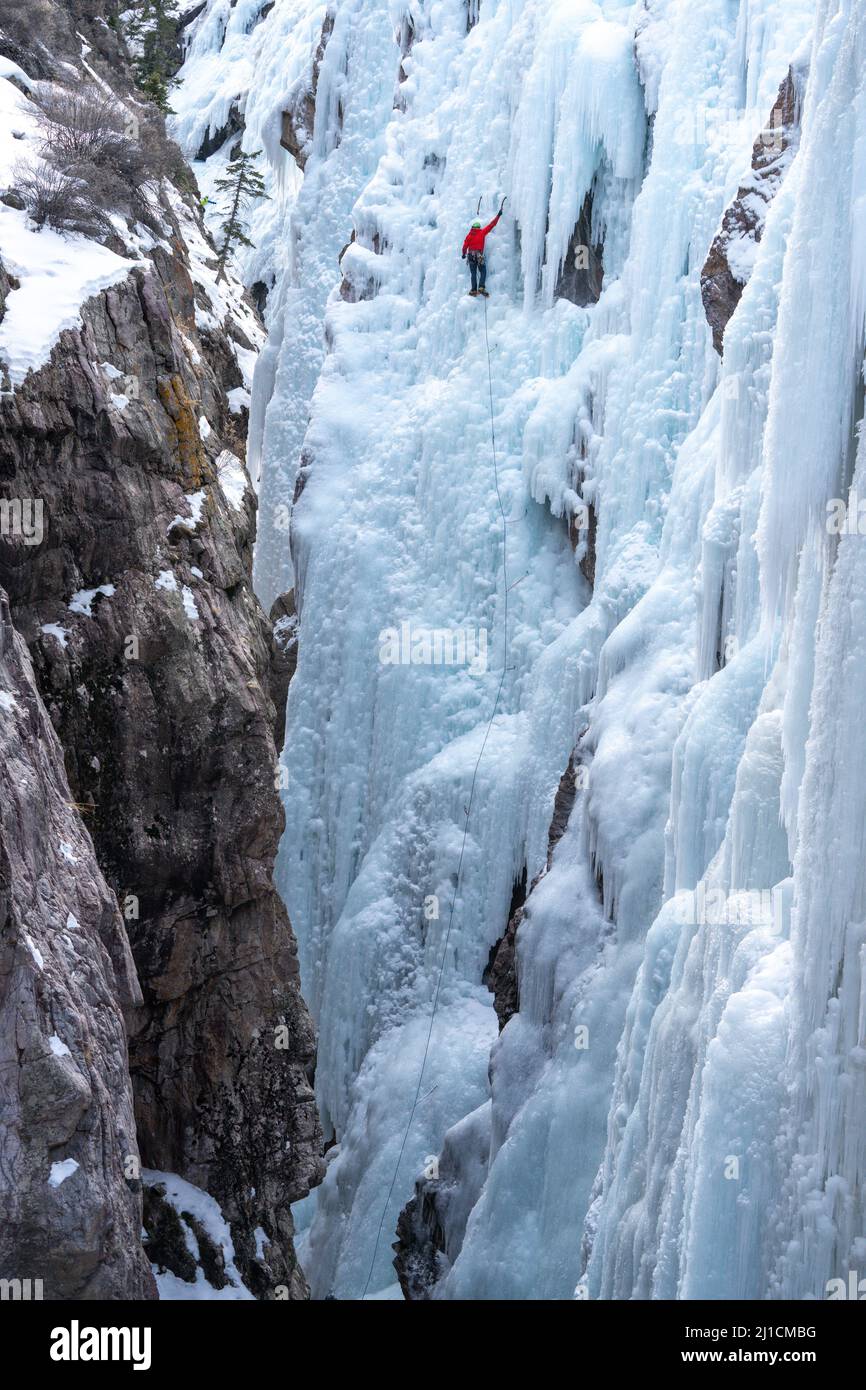 Un grimpeur à glace se visse dans un ancrage à vis de glace alors qu'il mène monte un mur de glace de 160 pi de haut dans le parc de glace d'Ouray, Colorado. Un grimpeur principal n'a pas de t Banque D'Images