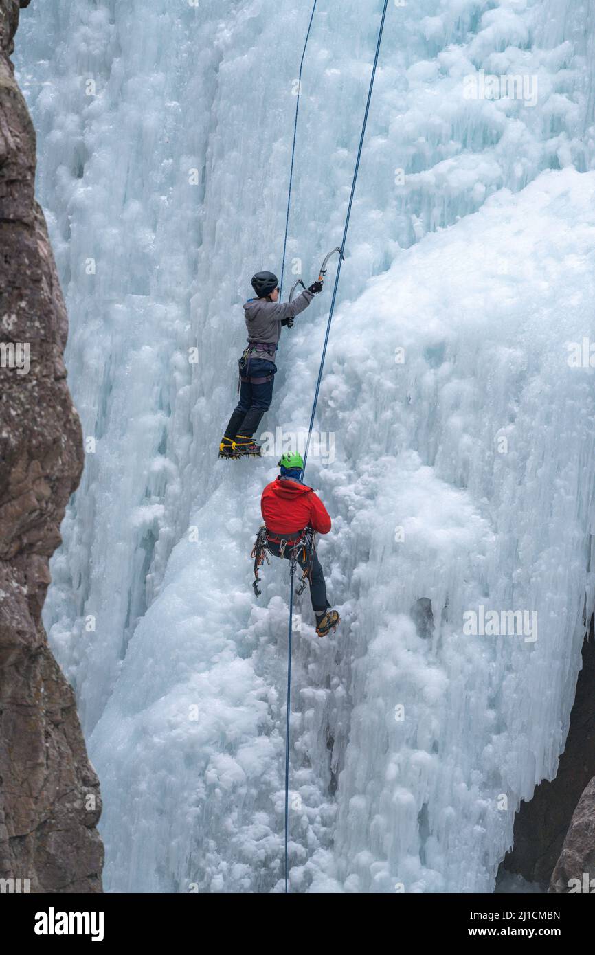 Une femme monte à gauche tandis qu'un autre grimpeur à droite descend un mur de glace de 160 m de haut dans le parc de glace d'Ouray, Colorado. Banque D'Images