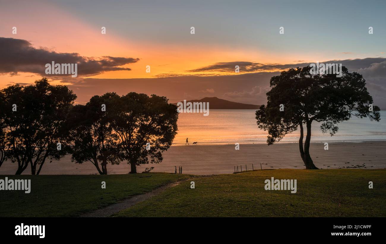 Les gens et les chiens marchent à la plage de Takapuna au lever du soleil. Rangitoto Island en arrière-plan, Auckland. Banque D'Images