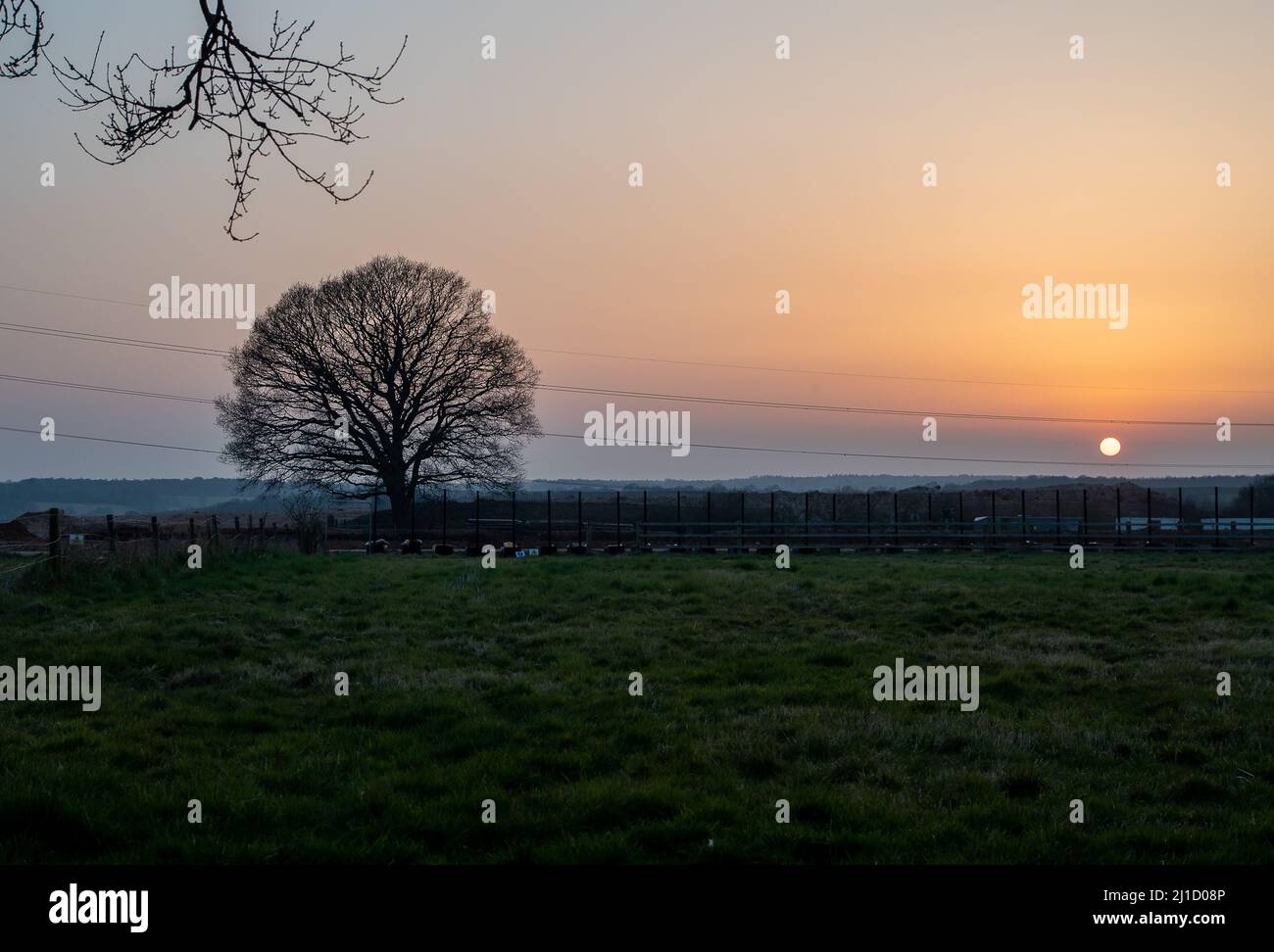 Great Missenden, Buckinghamshire, Royaume-Uni. 24th mars 2022. Le soleil se couche sur ilona le chêne qui est menacé d'abattage d'ici HS2. Une campagne de la part des locaux pour empêcher HS2 de faire abattre plus de 80 chênes compte plus de 1 000 habitants. HS2 Ltd construtera un pont sur Leather Lane pour le chemin de fer à grande vitesse 2. Le cuir Lane est une route pittoresque à voie unique et l'ancienne holloway. Le pont supérieur de HS2 entraînera la perte supplémentaire de plus de 80 chênes le long de Leather Lane, cependant, les locaux ont commandé un ingénieur qui a conçu un plan alternatif viable qui sauverrait les arbres W. Banque D'Images