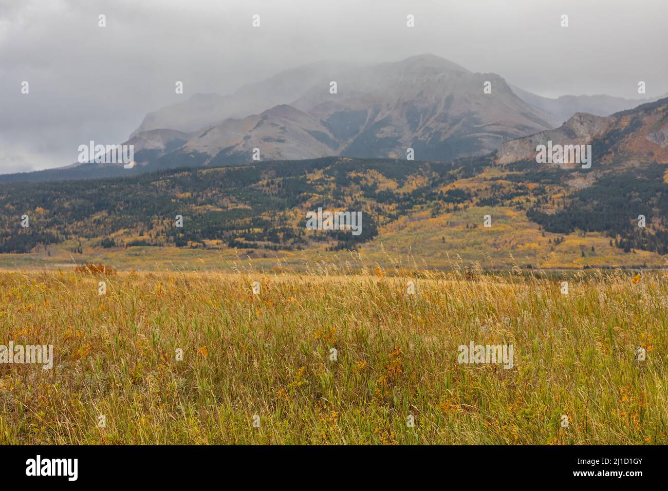 Medow dans les montagnes paysage en pleine journée en automne. Paysage spectaculaire avec des montagnes, des orangers, des rochers, ciel bleu nuageux à l'automne au Canada. Par Banque D'Images