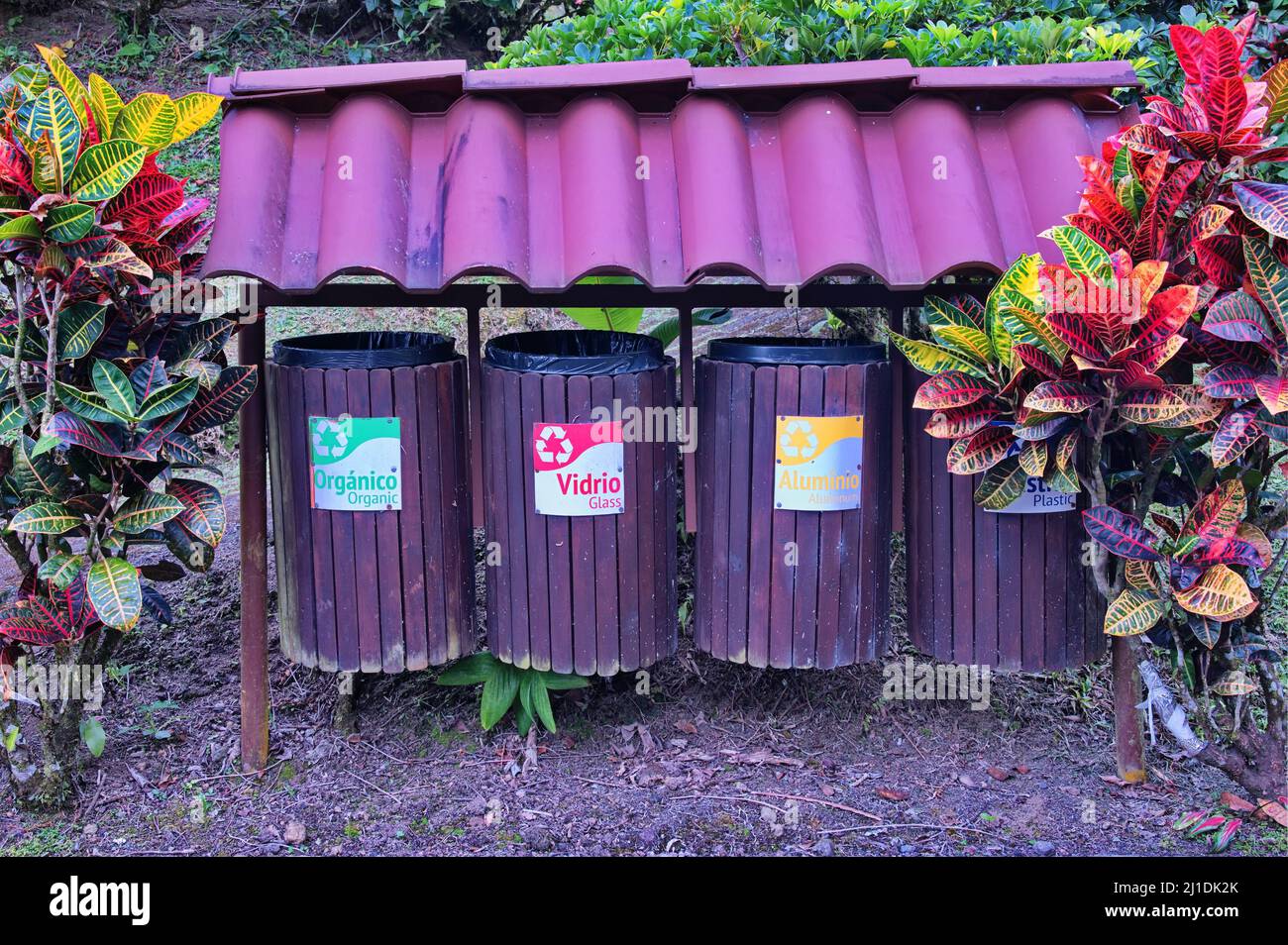 Récipients en bois de suite pour le recyclage du papier, de l'aluminium, du verre et des déchets organiques Banque D'Images