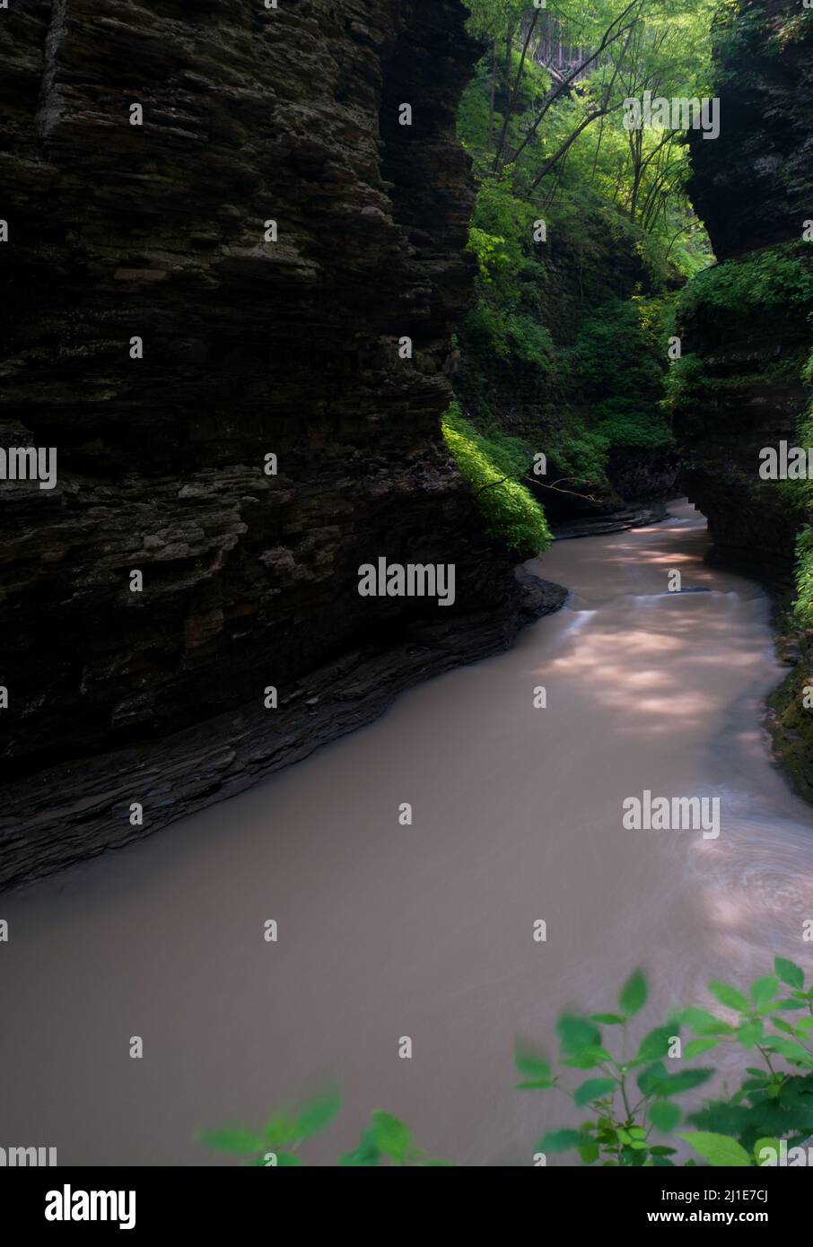 L'eau traverse la gorge du parc national Watkins Glen 2 Banque D'Images