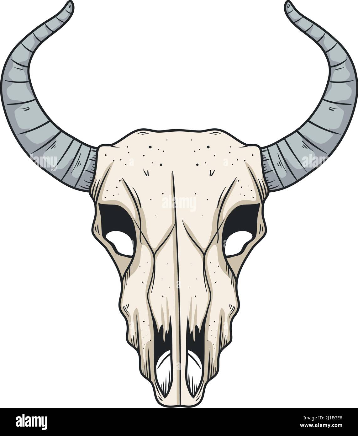 crâne de la tête de la vache Illustration de Vecteur