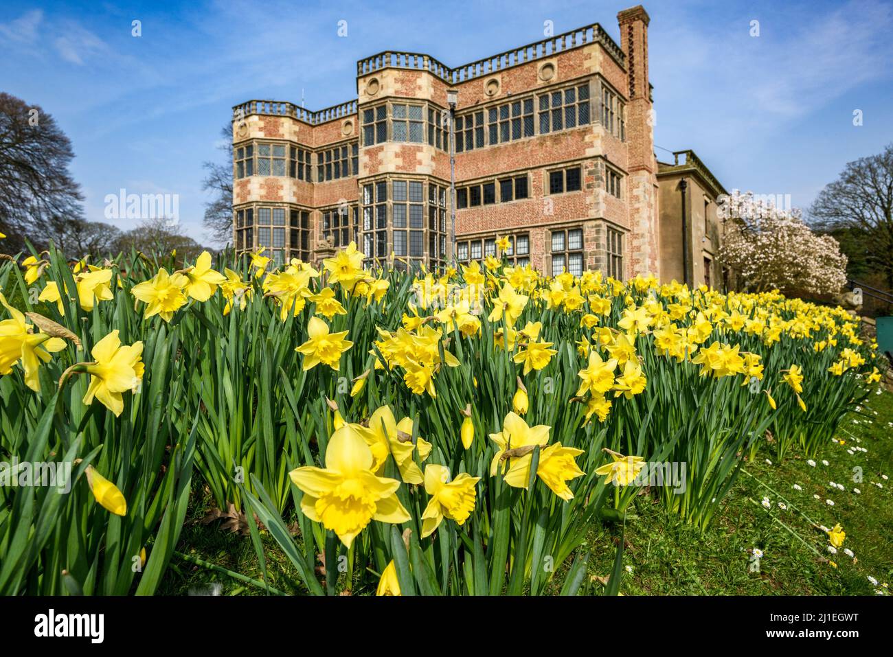 Astley Hall, Chorley au soleil du printemps. Photo de Paul Heyes, mardi 22 mars 2022. Banque D'Images