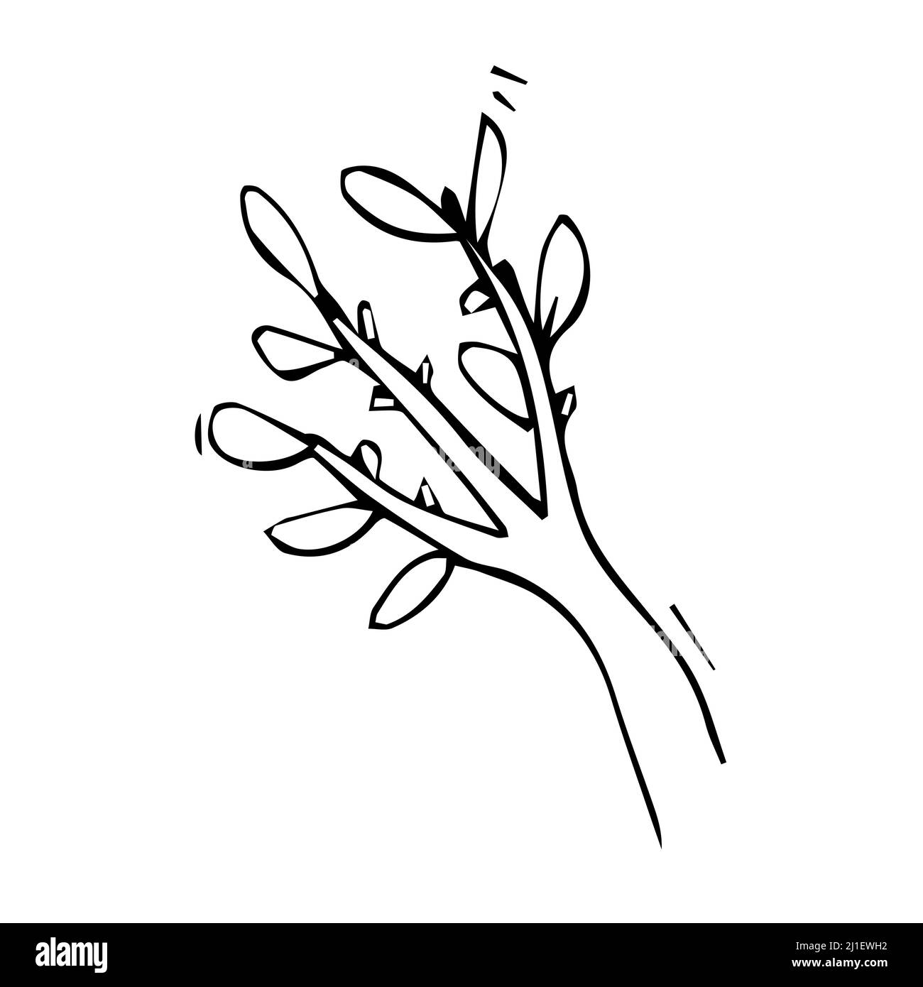 Esquisse isolée de branche avec boutons de fleurs isolés sur fond blanc. Illustration de Vecteur