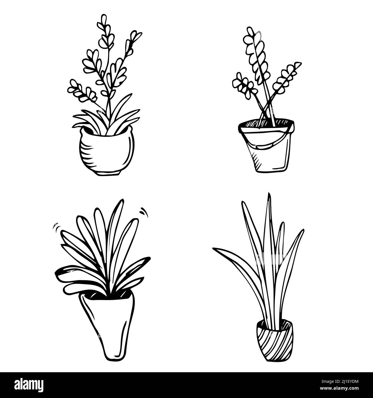 Ensemble de vecteurs noir et blanc de dessins de plantes de maison graphique. Line art Home fleurs, plantes en fleurs Illustration de Vecteur