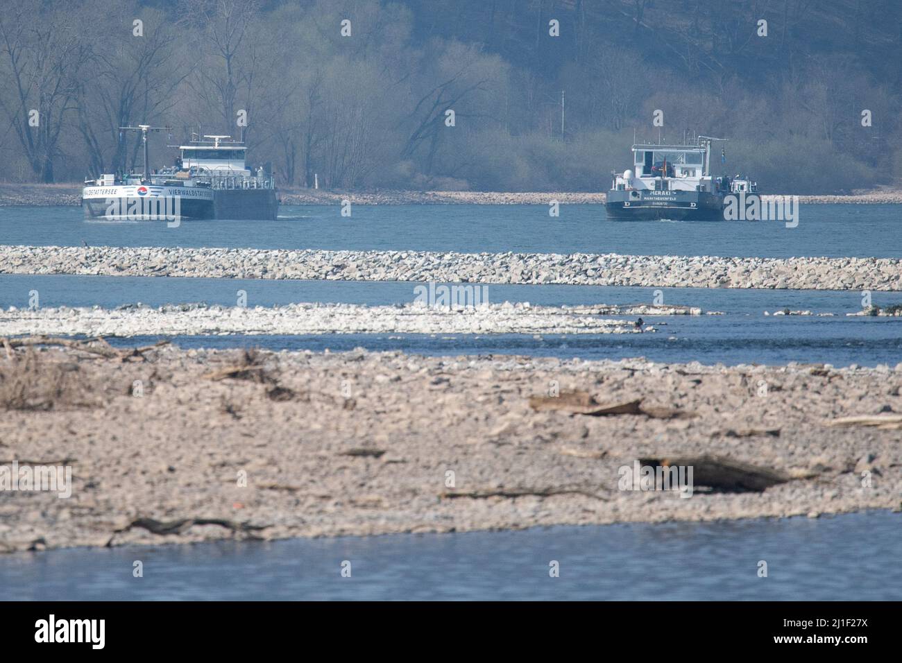 Bingen am Rhein, Allemagne. 25th mars 2022. Les navires de transport voyagent sur le Rhin. À Bingen, le Rhin transporte actuellement moins d'eau que la moyenne à long terme. Credit: Sebastian Gollnow/dpa/Alay Live News Banque D'Images