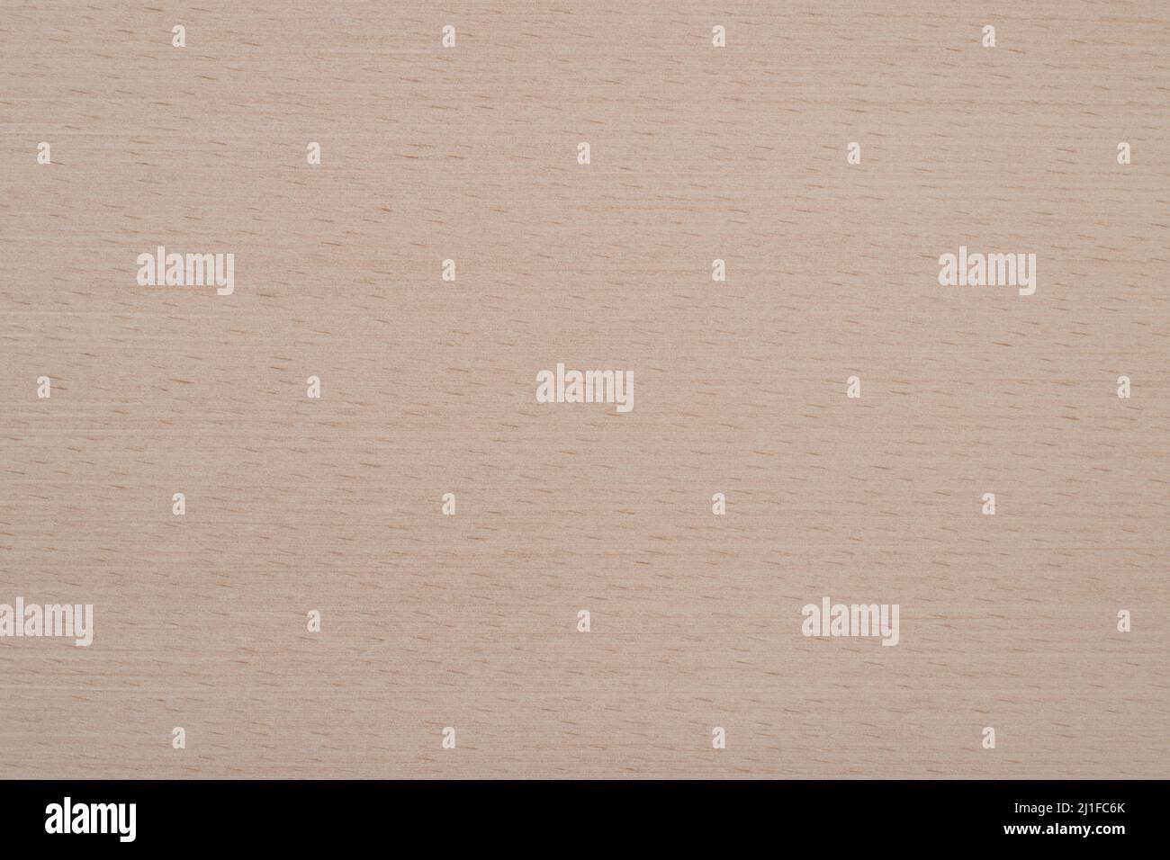 Motif de texture de panneau en hêtre Banque D'Images