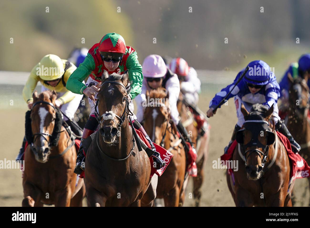 Photo du dossier datée du 20-04-2021 de Diligent Harry (deuxième à gauche) que Clive Cox cherche à transférer sa solide forme tout temps sur le gazon cet été, avec le Trophée SBK Cammidge inscrit à Doncaster son point de départ. Date de publication : vendredi 25 mars 2022. Banque D'Images