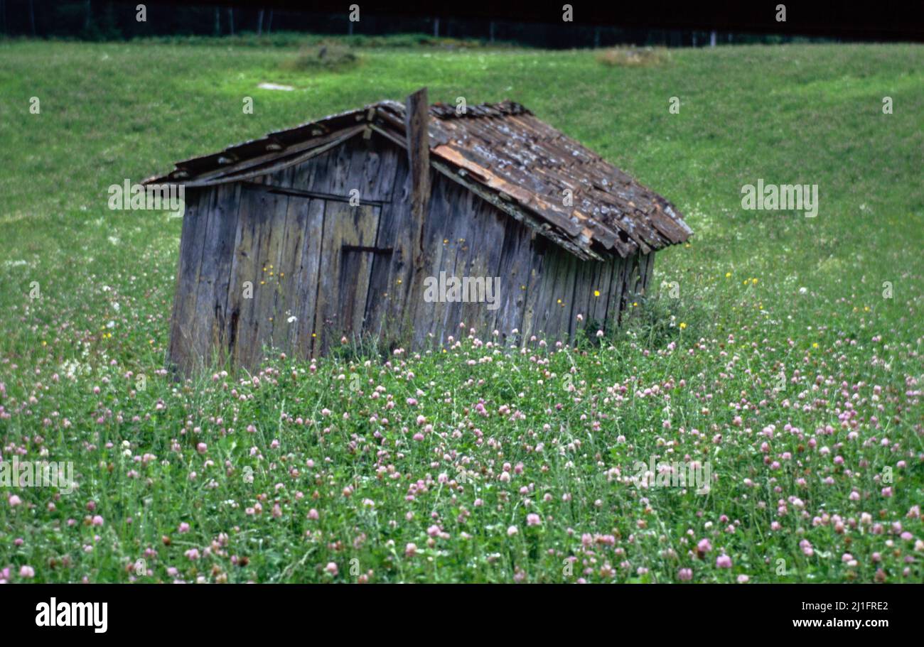 Ancienne ferme en bois déserte dans la région sormland en suède Banque D'Images