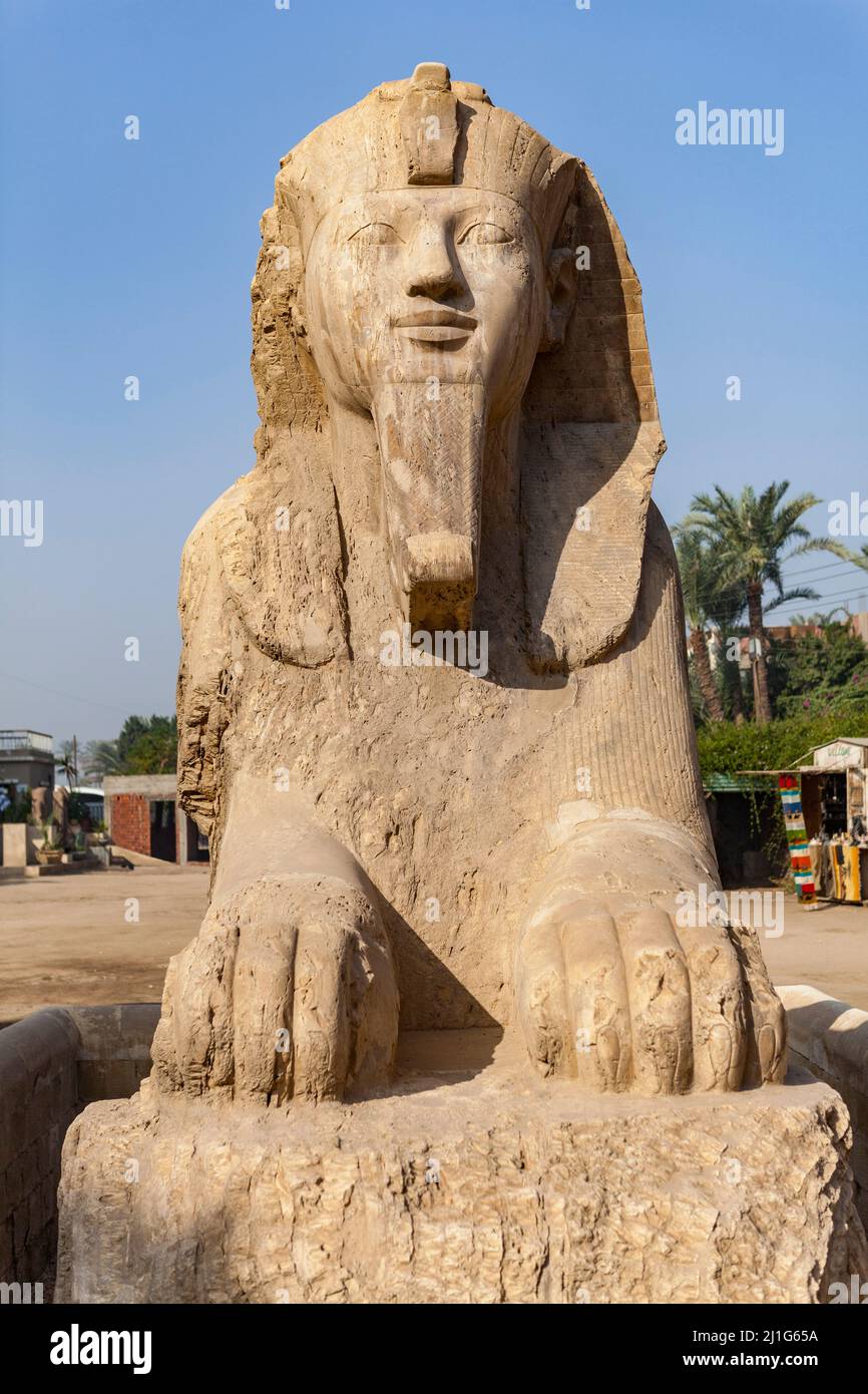 Alabaster sphinx de Memphis, Égypte Banque D'Images