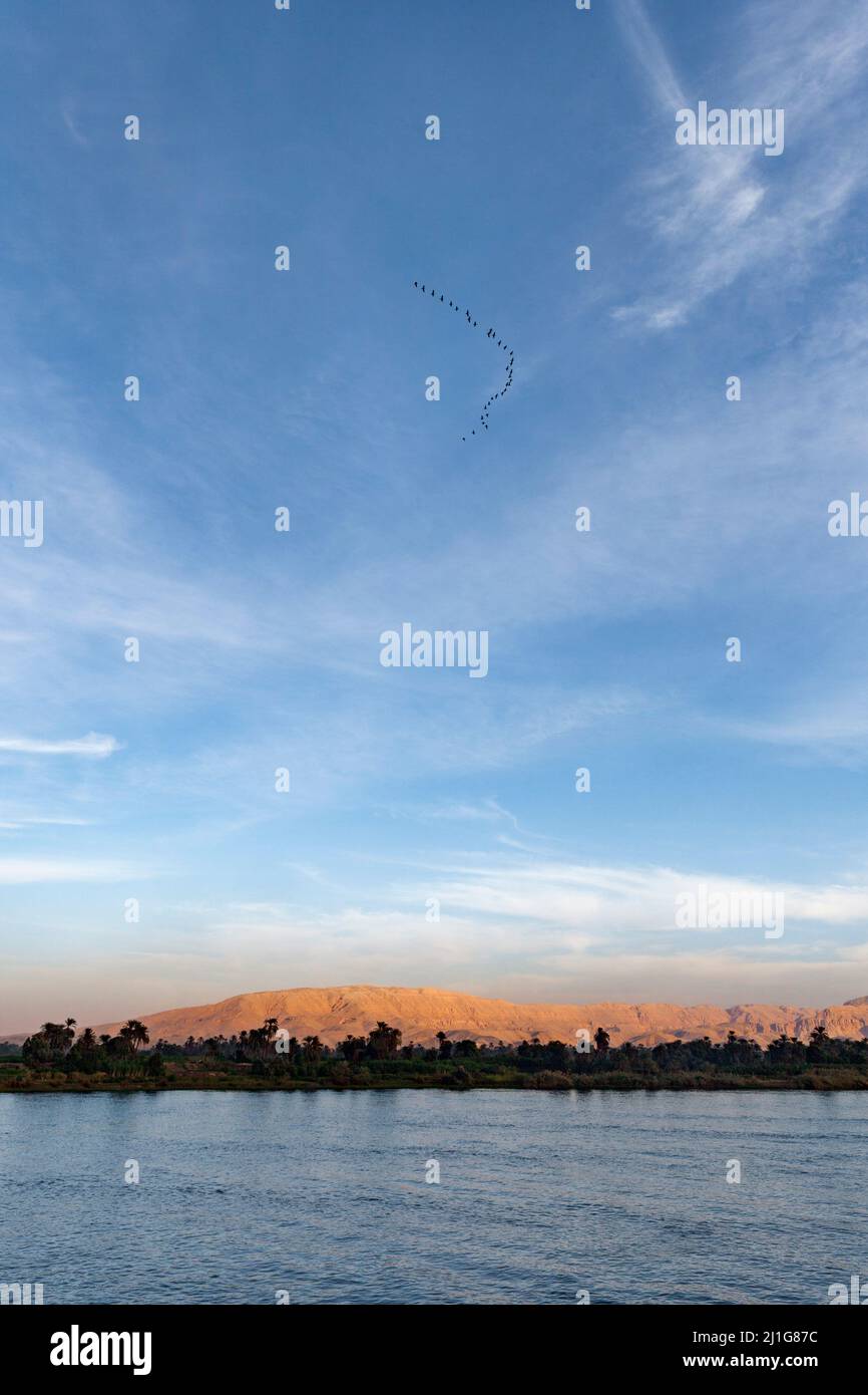 Formation d'oiseaux volant au-dessus du Nil Banque D'Images
