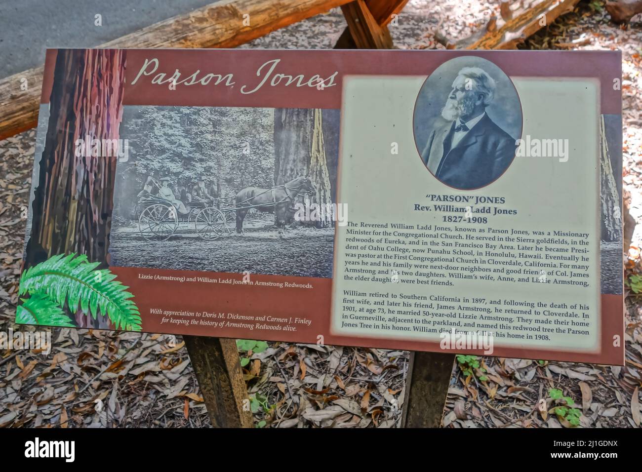 Un gros plan du panneau Parson Jones par le Parson Jones Tree dans la réserve naturelle d'Armstrong Redwoods, Californie, États-Unis Banque D'Images