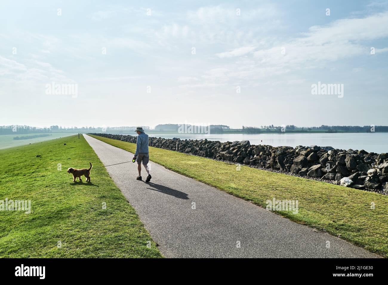 Un seul chien mâle marchant sur un chemin près d'un lac tôt le matin. Banque D'Images