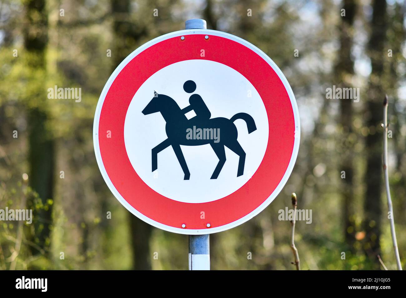 Panneau avec cheval et cavalier sur la route pour l'équitation dans la forêt Banque D'Images