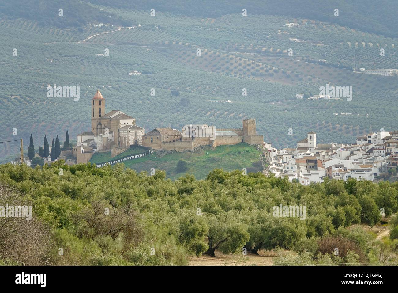 Vue sur la ville Cordovan d'Iznájar (Espagne) sur une colline entre les oliveraies Banque D'Images