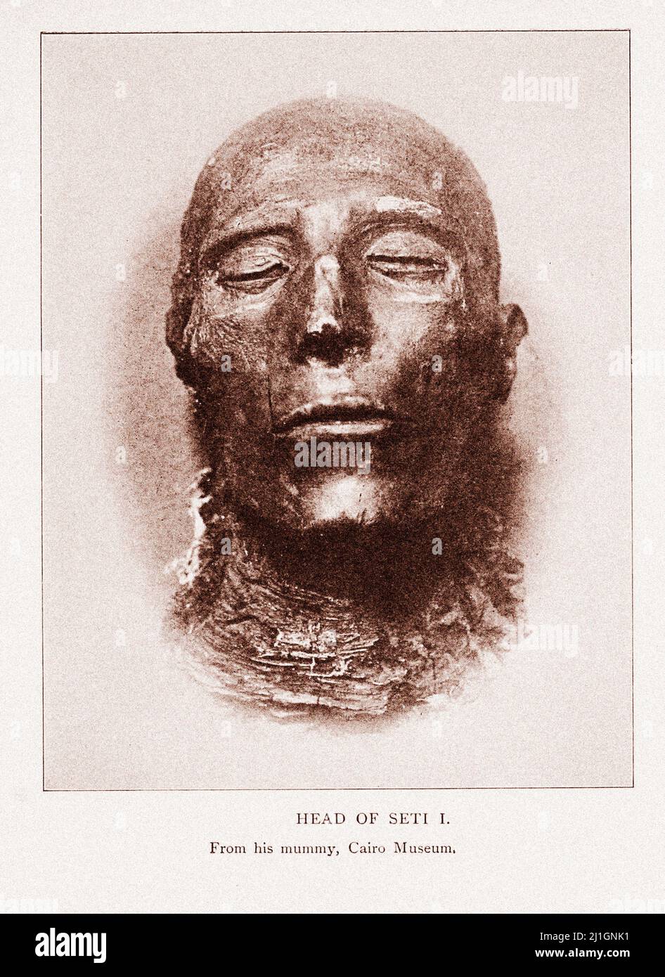 Égypte ancienne. Le Nouveau Royaume (1549–1069 av. J.-C.). Illustration de 1912 tête de Seti I. de sa momie Banque D'Images