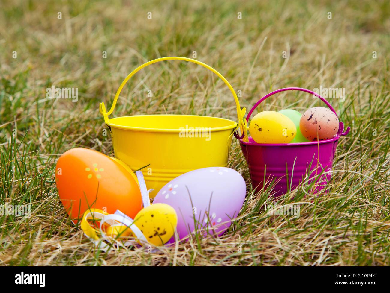 Œufs de Pâques colorés décorés dans l'herbe Banque D'Images