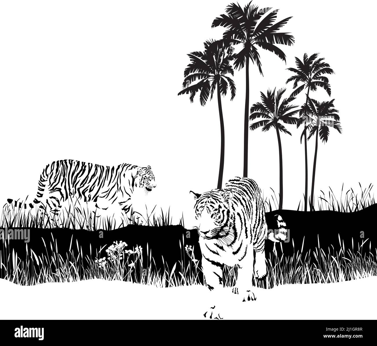 Tigres dans la nature Illustration de Vecteur