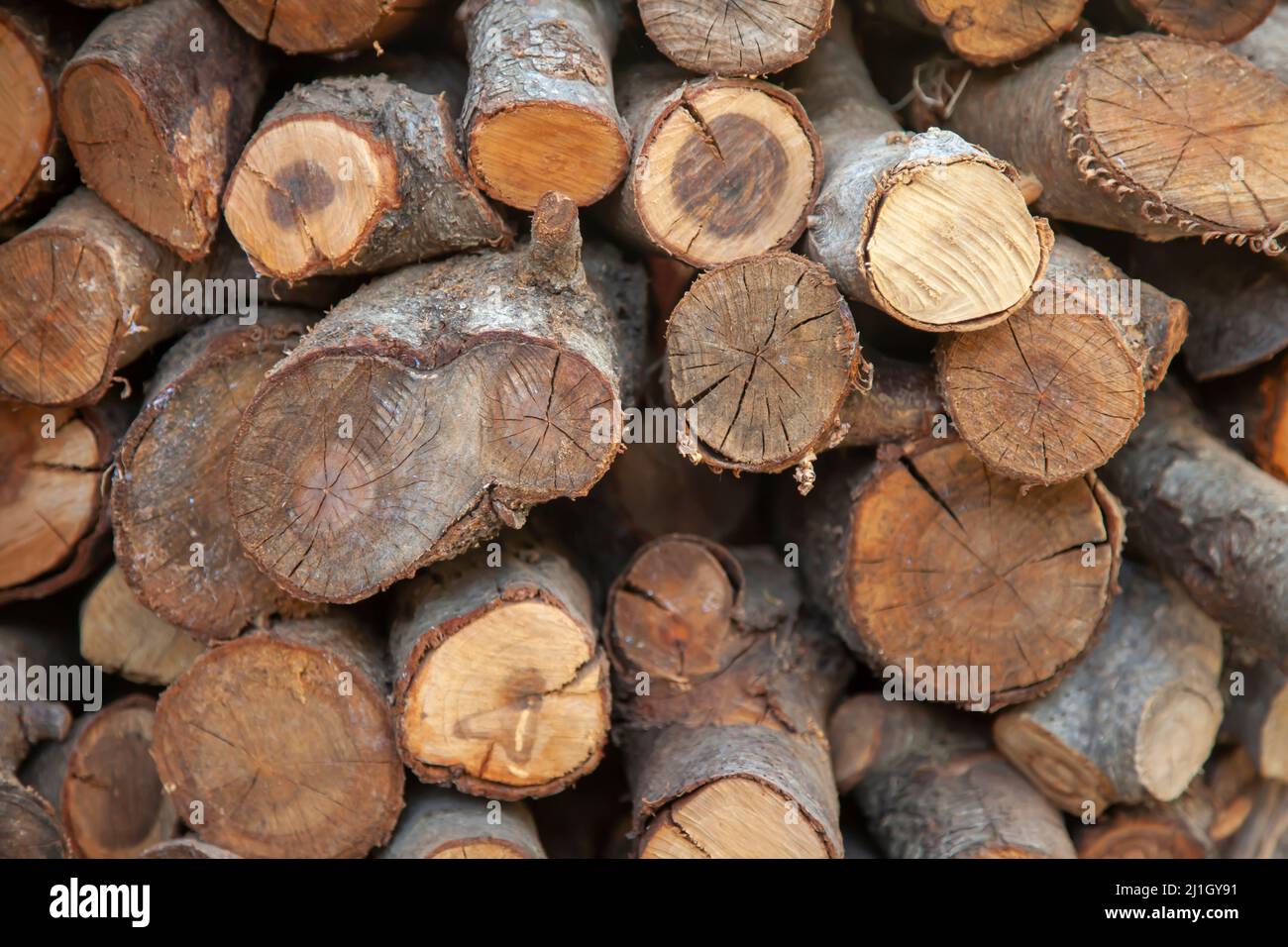 Pile de bois empilé. Gros plan et vue de face. Banque D'Images
