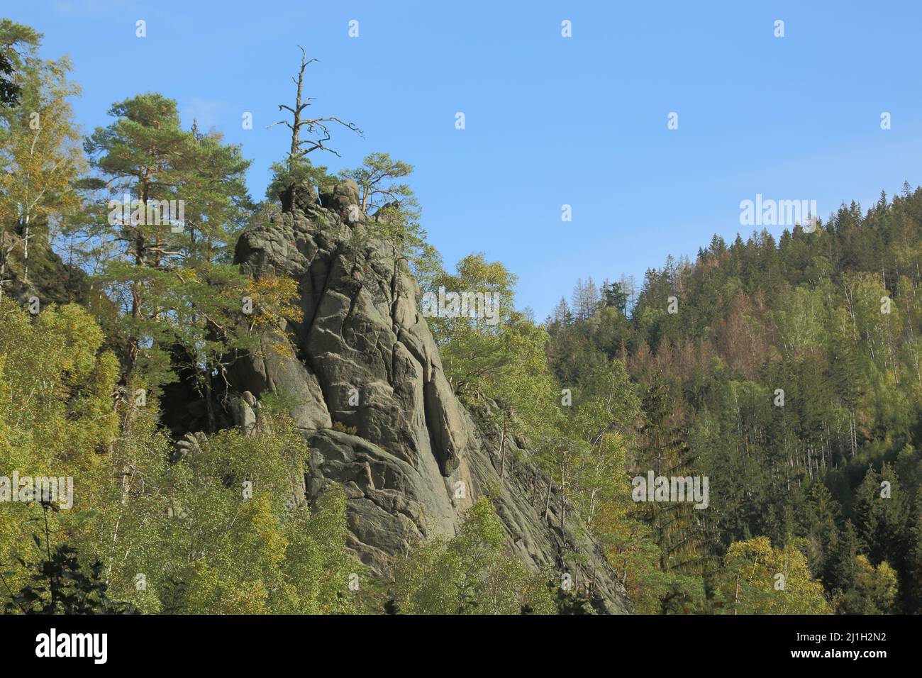Adlerklippe dans l'Okertal dans les montagnes du Harz, Basse-Saxe, Allemagne Banque D'Images