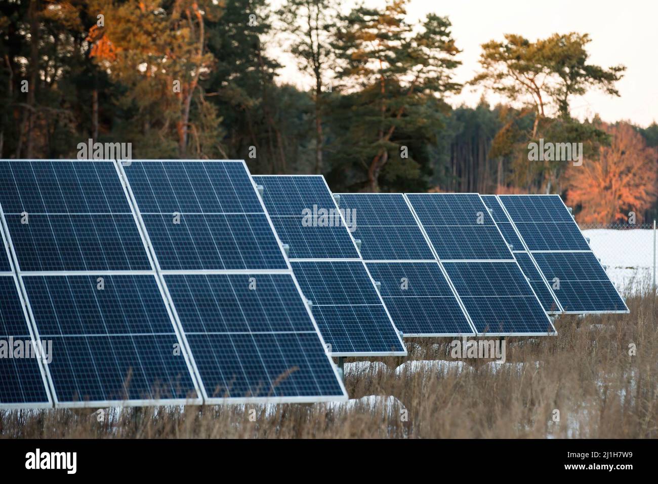 Panneaux solaires vus dans une usine de Lakie. Les installations photovoltaïques en Pologne ont battu des records de popularité ces dernières années, tant chez les entrepreneurs que chez les particuliers. Actuellement, la capacité photovoltaïque installée en Pologne est de plus de 8 000 MW. Banque D'Images