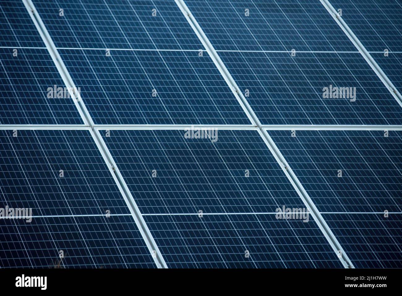 Panneaux solaires vus dans une usine de Lakie. Les installations photovoltaïques en Pologne ont battu des records de popularité ces dernières années, tant chez les entrepreneurs que chez les particuliers. Actuellement, la capacité photovoltaïque installée en Pologne est de plus de 8 000 MW. Banque D'Images