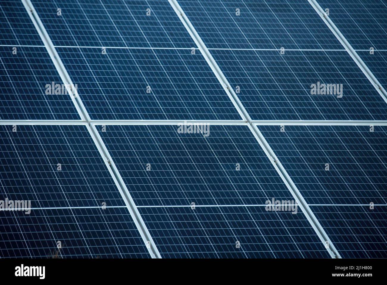Lakie, Pologne. 25th décembre 2021. Panneaux solaires vus dans une usine de Lakie. Les installations photovoltaïques en Pologne ont battu des records de popularité ces dernières années, tant chez les entrepreneurs que chez les particuliers. Actuellement, la capacité photovoltaïque installée en Pologne est de plus de 8 000 MW. (Photo par Karol Serewis/SOPA Images/Sipa USA) crédit: SIPA USA/Alay Live News Banque D'Images