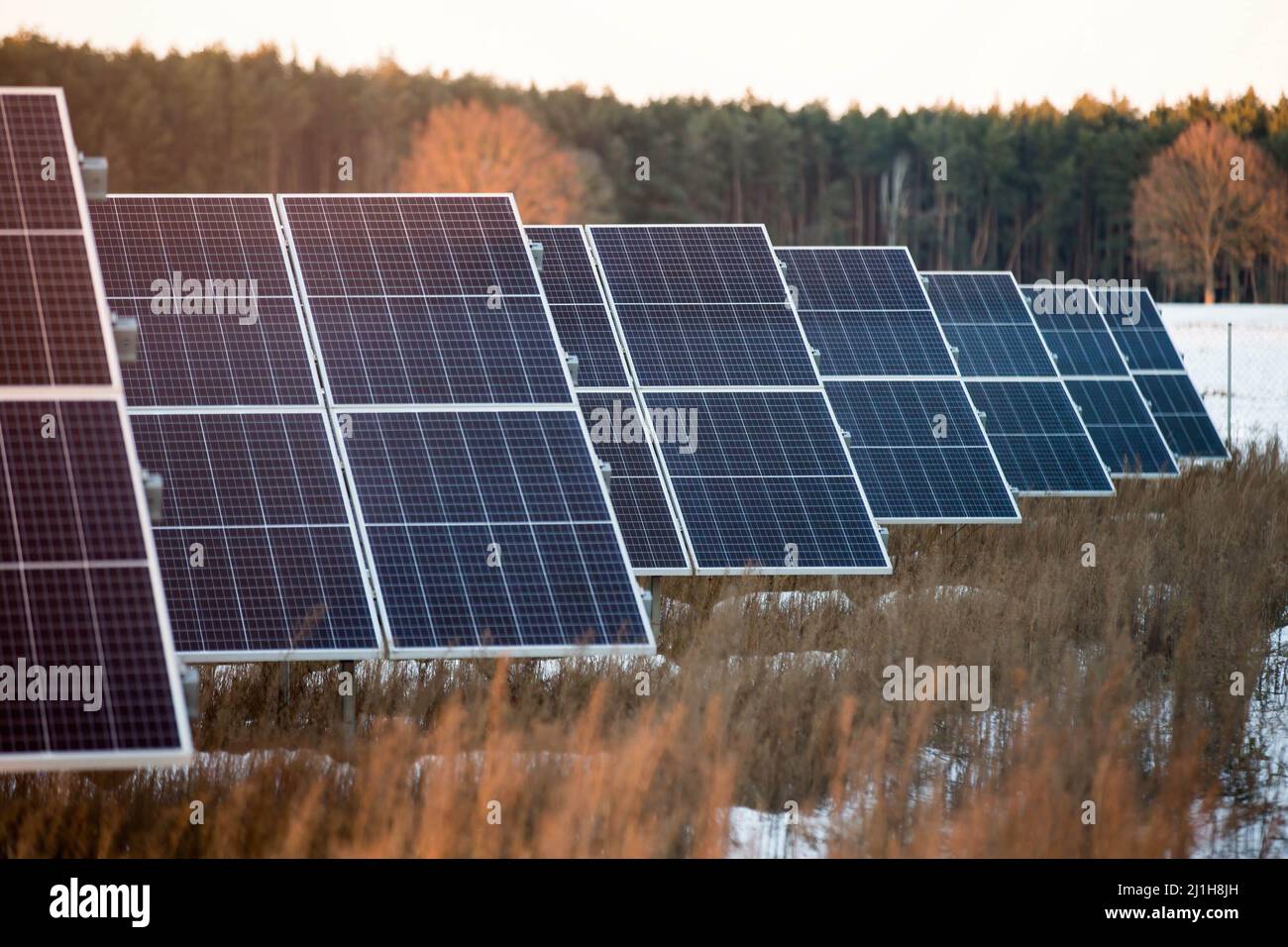 Lakie, Lubusz Voivodeship, Pologne. 25th décembre 2021. Panneaux solaires vus dans une usine de Lakie. Les installations photovoltaïques en Pologne ont battu des records de popularité ces dernières années, tant chez les entrepreneurs que chez les particuliers. Actuellement, la capacité photovoltaïque installée en Pologne est de plus de 8 000 MW. (Credit image: © Karol Serewis/SOPA Images via ZUMA Press Wire) Banque D'Images