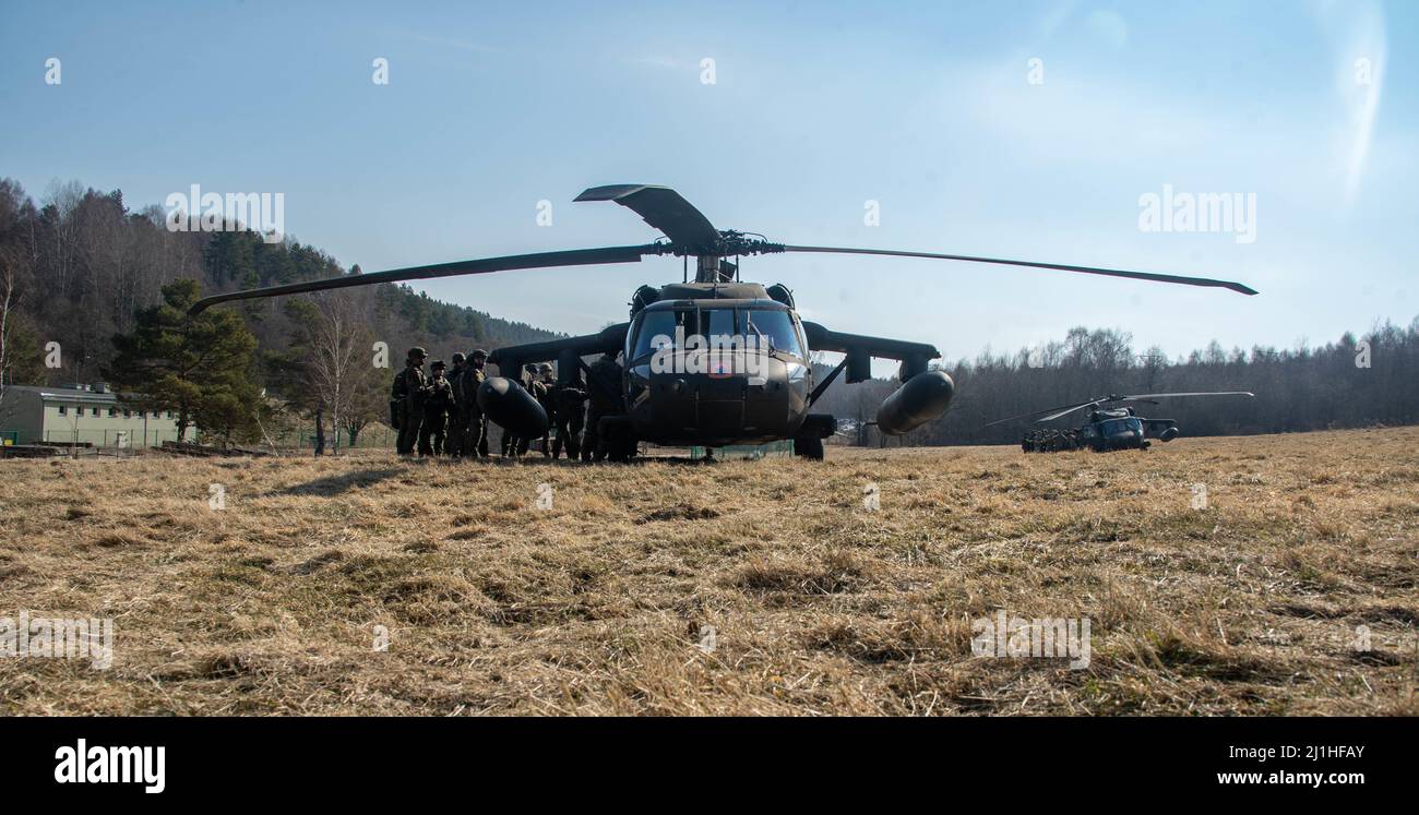 Les parachutistes américains affectés à l'équipe de combat de 3rd Brigade, 82nd Airborne Division s'entraînent avec des alliés polonais sur les aspects d'un hélicoptère UH-60 Black Hawk lors de l'entraînement à charge froide à Bircza, Pologne, mars 15. La 82nd Airborne Division, basée à fort Bragg, en Caroline du Nord, s'entraîne aux côtés de leurs alliés polonais pour accroître l'interopérabilité et assurer à nos alliés le renforcement de notre Alliance. (É.-U. Photo du corps marin par Sgt. Robin Lewis) Banque D'Images