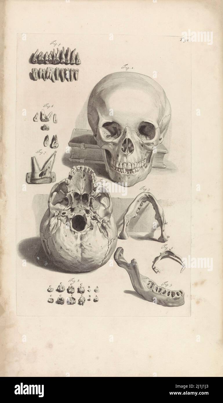 Gravure d'un studio anatomique d'ombre. Encore la vie avec un crâne humain. Par Pieter van Gunst, après Gerard de Lairesse, 1685 Banque D'Images