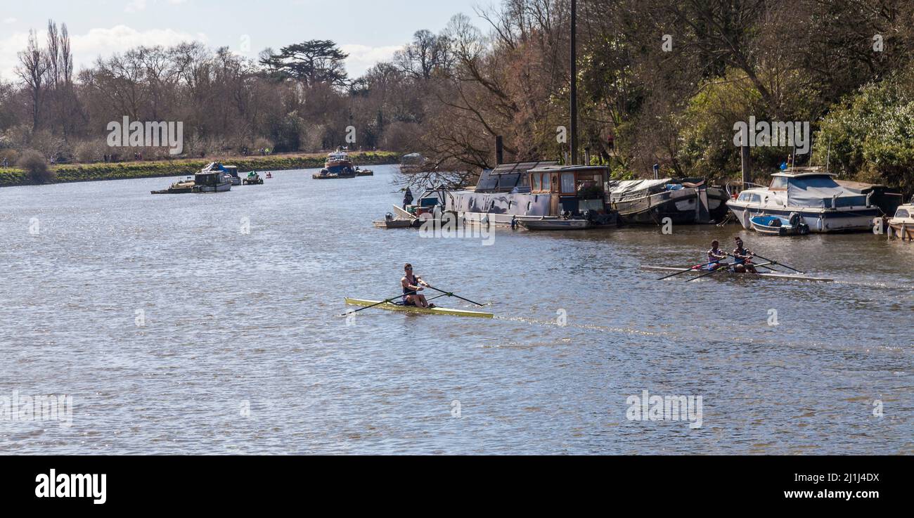 Les gens qui apprécient une excursion en canoë le long de la Tamise à Richmond, Surrey, Angleterre, Royaume-Uni Banque D'Images