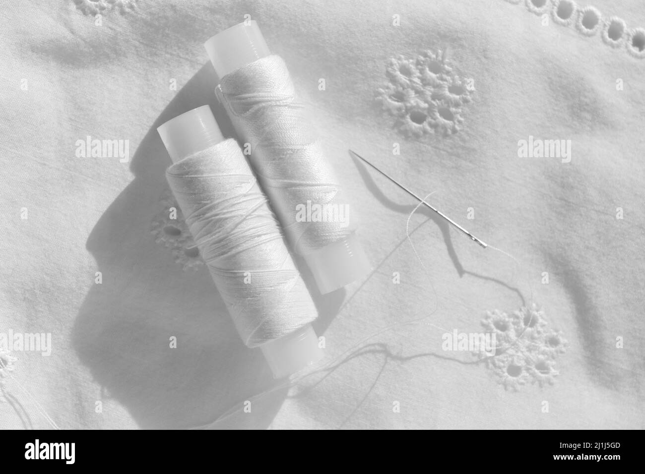 Deux bobines de fil de coton blanc sur un tissu brodé et avec une aiguille. Fils blancs. Gros plan Banque D'Images