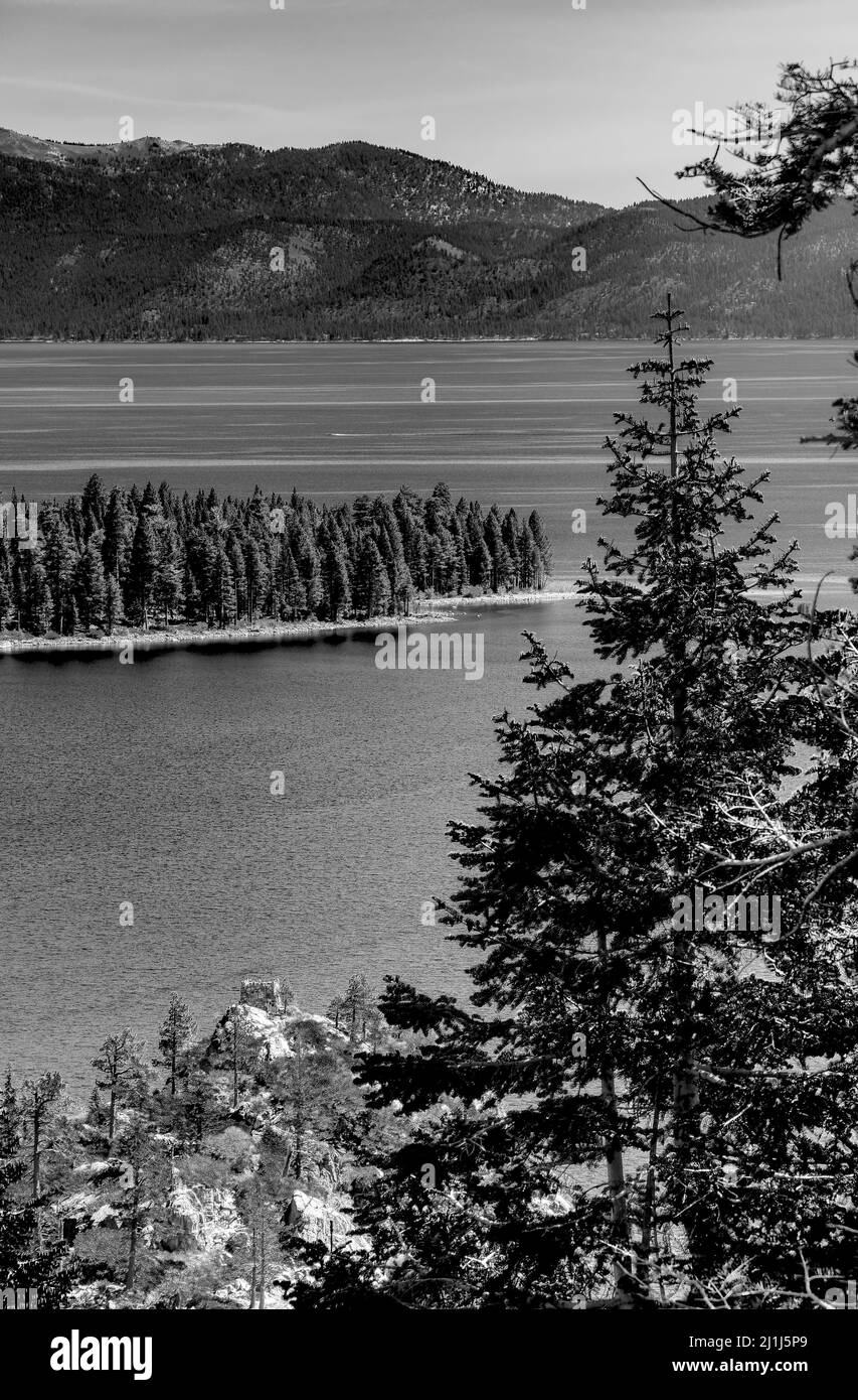 Vue aérienne en niveaux de gris des arbres à fourrure et des collines verdoyantes par l'eau contre un ciel gris nuageux Banque D'Images