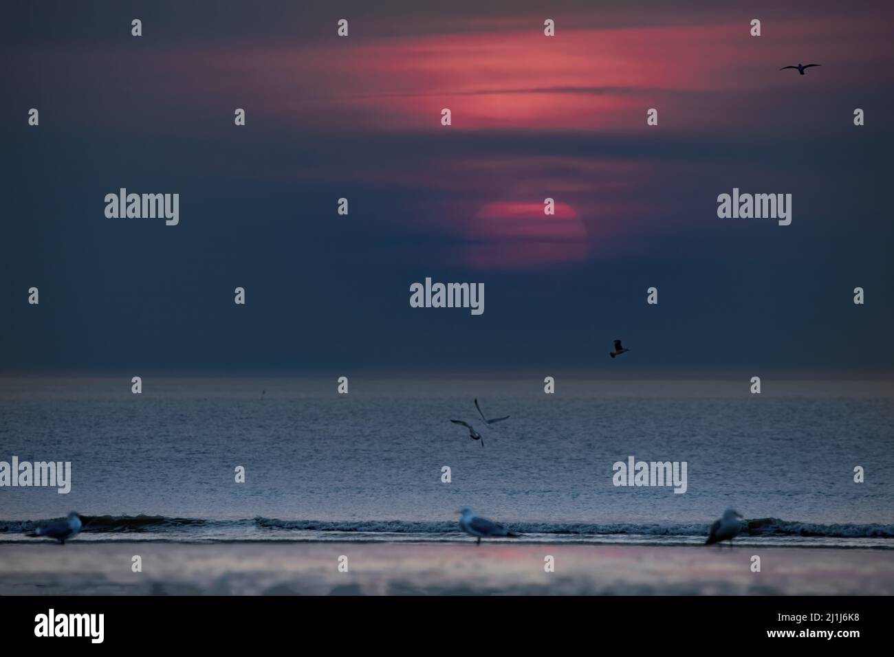 Coucher de soleil à Ault Onival, mer calme et ciel nuageux Banque D'Images