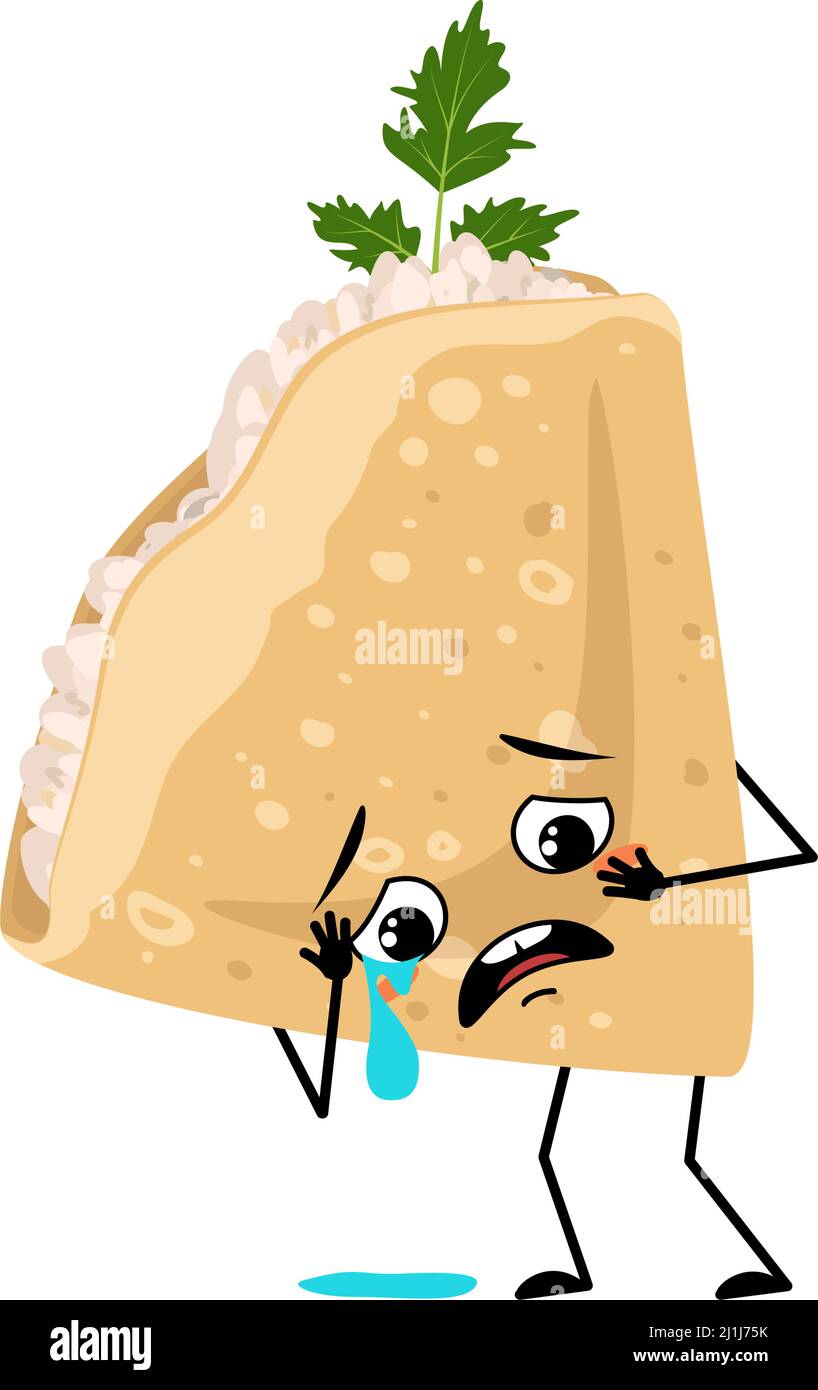 Caractère pancake avec fromage cottage et persil et pleurs et larmes émotion, visage triste, yeux dépressifs, bras et jambes. Pâtisserie, pâtisserie maison avec expression mélancolique. Illustration vectorielle Illustration de Vecteur