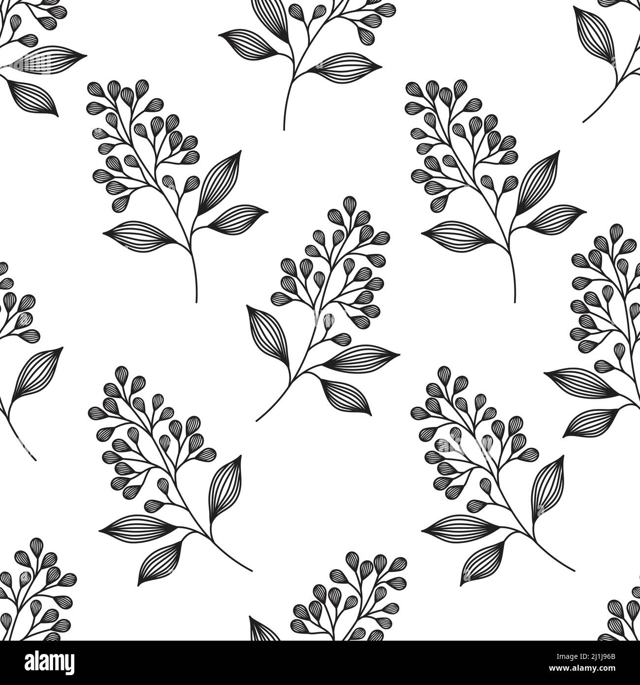 Motif vectoriel sans coutures avec branches en forme de Doodle. Motif de branches florales esquissées à la main avec feuilles et fleurs Doodle. Illustration de Vecteur