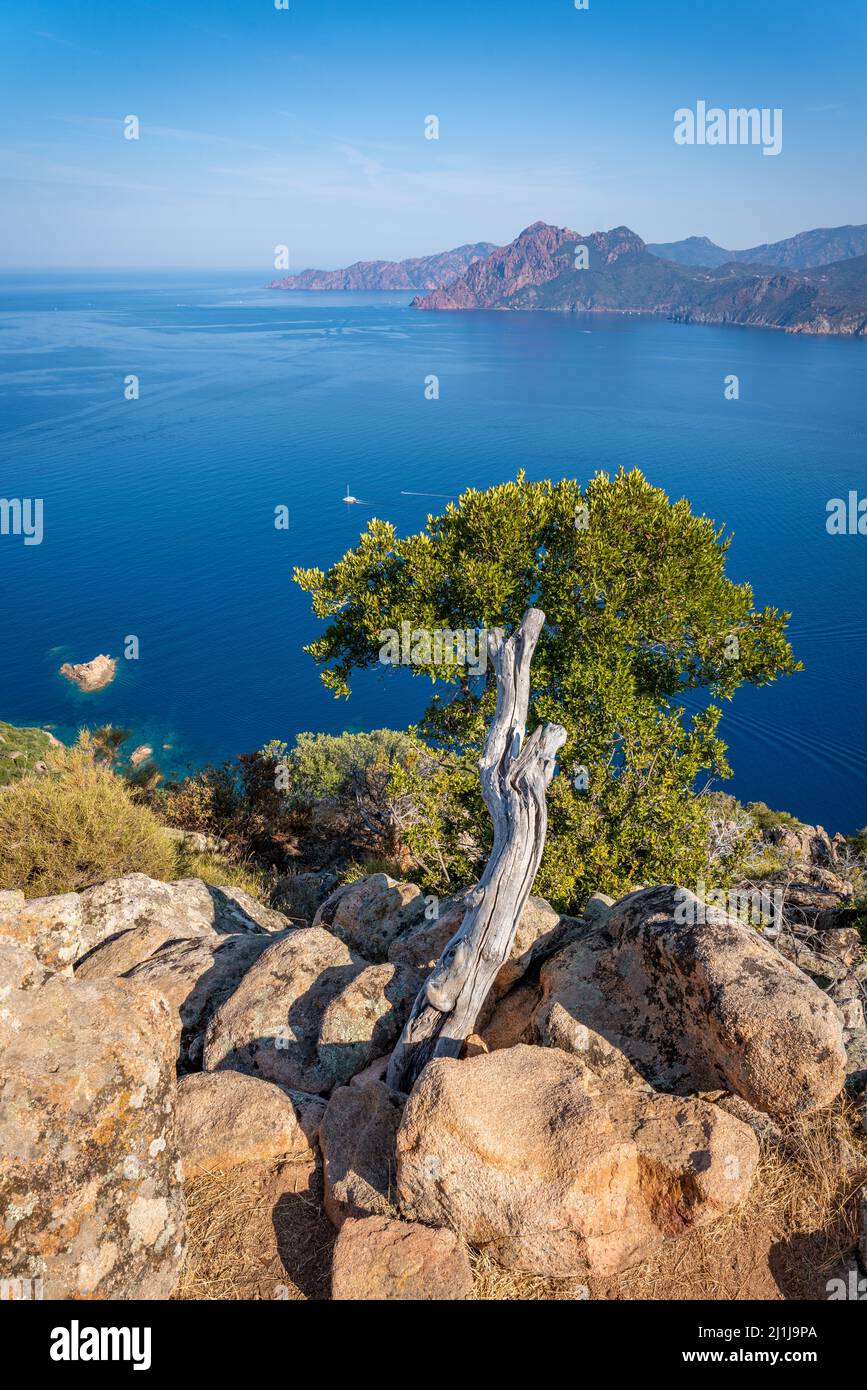 Réserve naturelle de Scandola, île de Corse. Seascape, sud de la France Banque D'Images